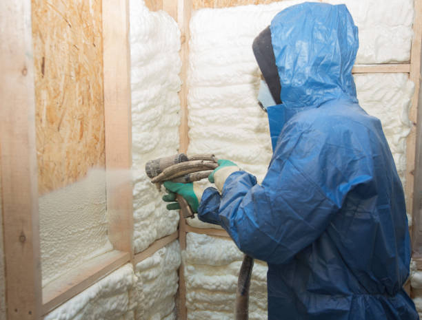 Best Blown-In Insulation  in Bladenboro, NC